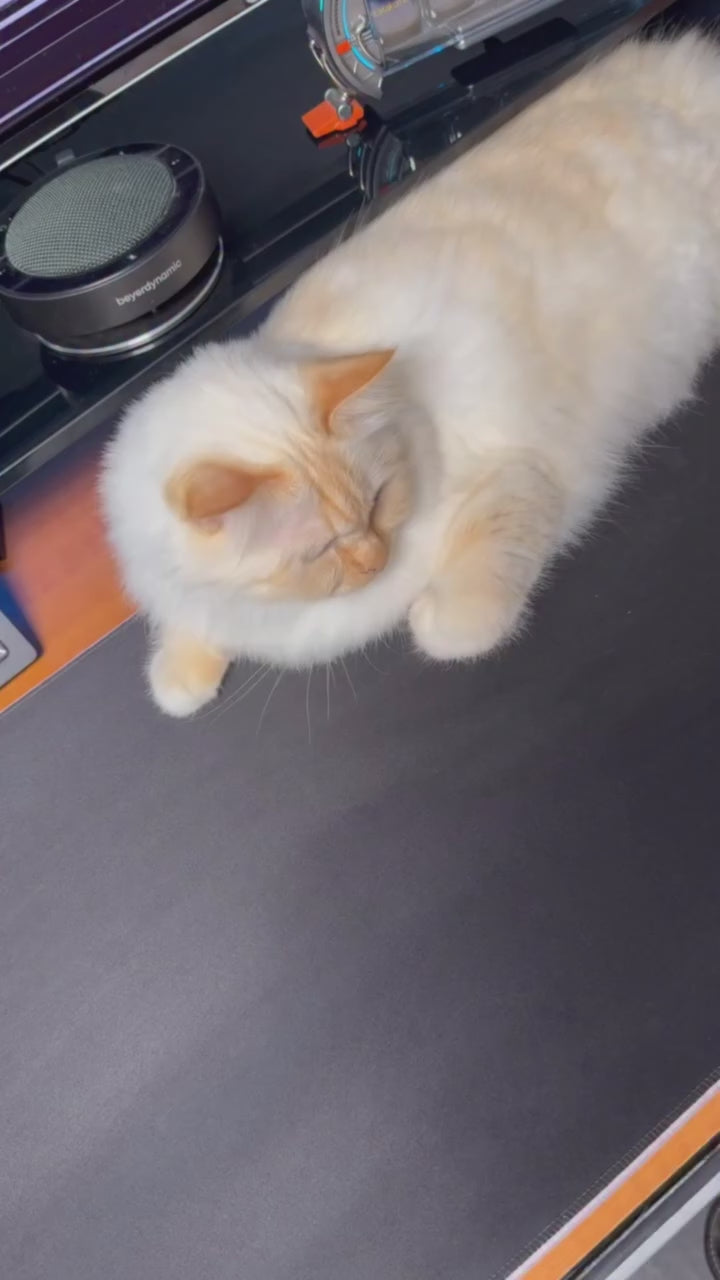 NOVOO RM12A Docking Station d'accueil USB C 12-en-1, Dual 4K HDMI, VGA, 5 USB Ports, 100W PD, Lecteur SD/TF, Compatible MacBook/Dell/HP/Surface